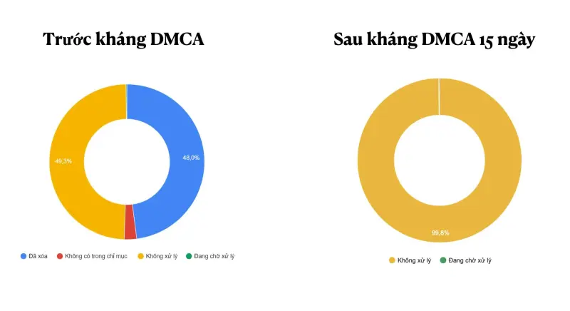 DMCA Inner Page Recovery Service